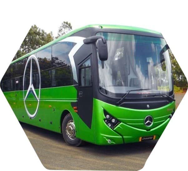 Dreamz — Sleeper Coach